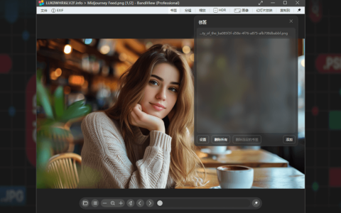 BandiView Pro 专业版图片浏览器工具软件