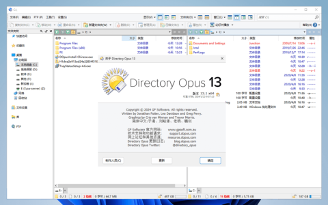 Directory Opus 13 Pro 专业版文件管理工具软件