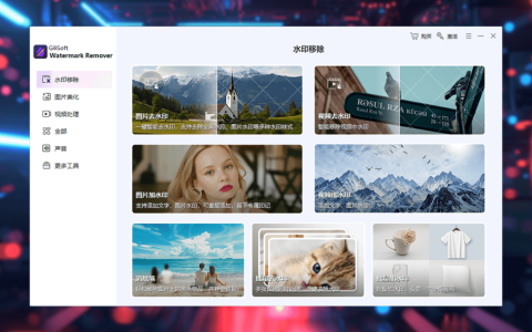 Gilisoft Watermark Remover 图片视频水印去除修复增强工具箱