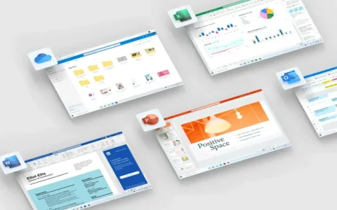 Microsoft Office 365 共享版