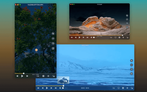OmniPlayer Mac 苹果全能视频播放器软件