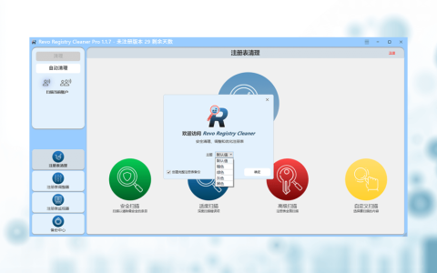 Revo Registry Cleaner Pro 注册表清理管理备份优化工具软件