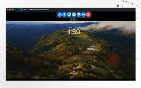 RustDesk 自托管远程访问支持工具软件