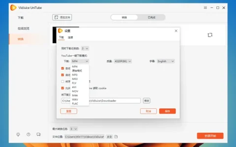 VidJuice UniTube 在线视频下载器转换工具软件