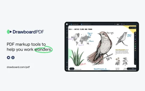 Drawboard PDF 6 Pro 企业版 PDF文件标注工具软件