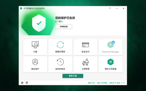 Kaspersky 卡巴斯基杀毒软件全方位安全软件