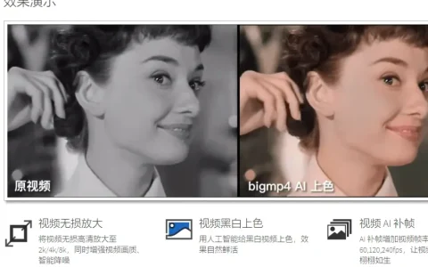 bigmp4 Ai人工智能视频无损放大