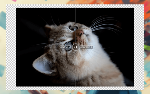 ImageOptimizer 优图专家图片压缩优化专家工具软件