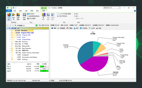 TreeSize 图形化磁盘空间检测分析管理工具软件